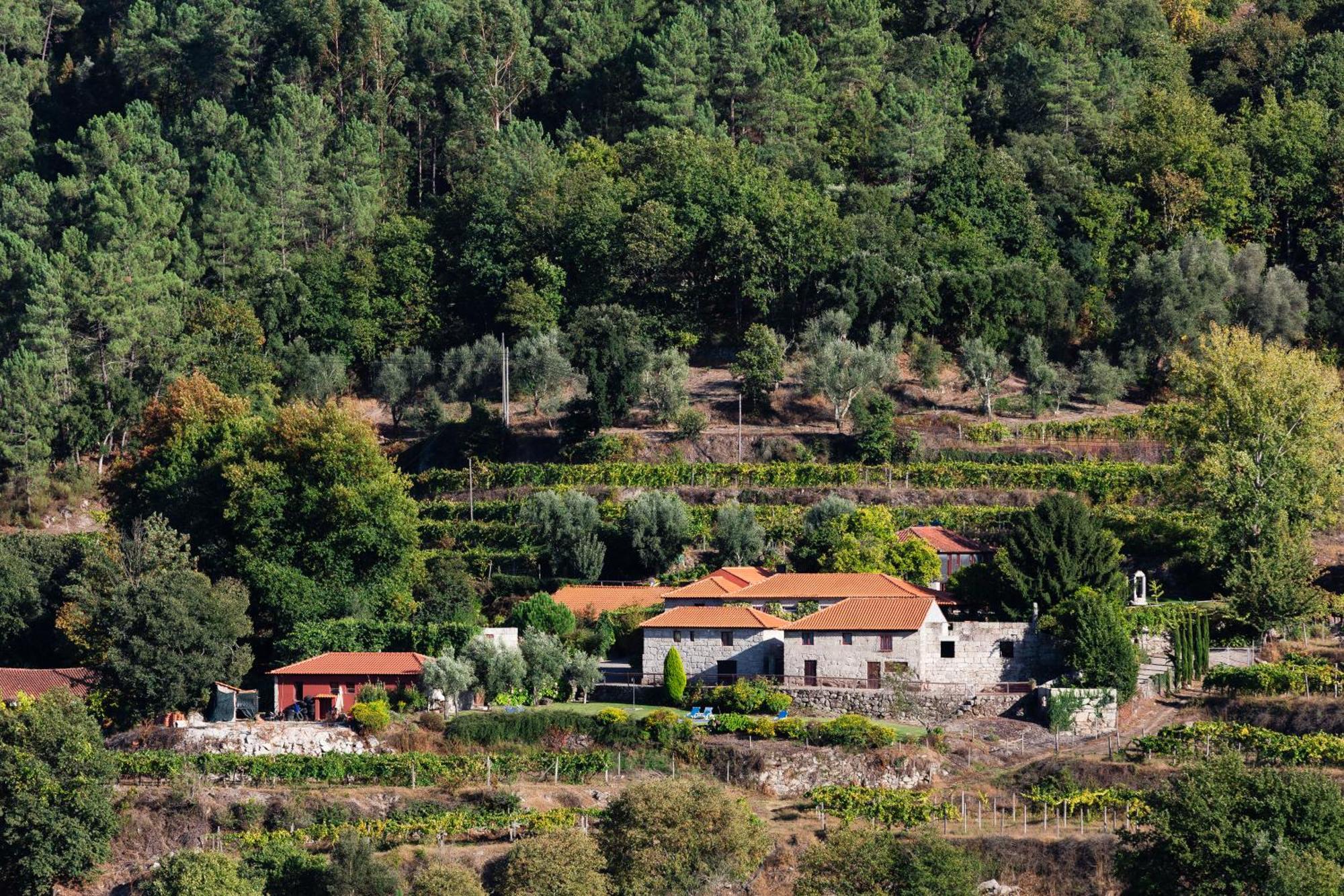 Penzion Quinta Da Pousadela - Agroturismo Amarante Exteriér fotografie