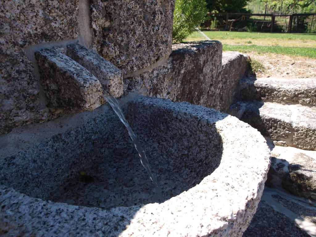 Penzion Quinta Da Pousadela - Agroturismo Amarante Exteriér fotografie