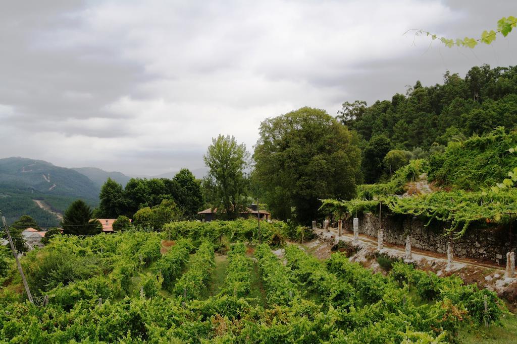 Penzion Quinta Da Pousadela - Agroturismo Amarante Exteriér fotografie